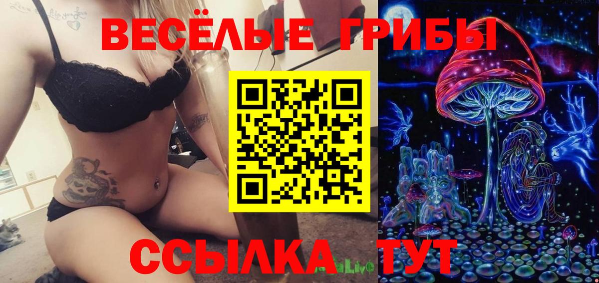 Галлюциногенные грибы Psilocybine cubensis  Вход с VPN  Елизово 